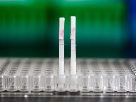 Paper strip tests standing in a sample tray