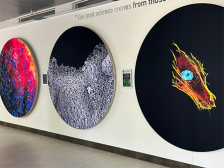 A wall with three 8 foot round canvases of microscopic images of brain tissue, snot, and a dying cancer cell